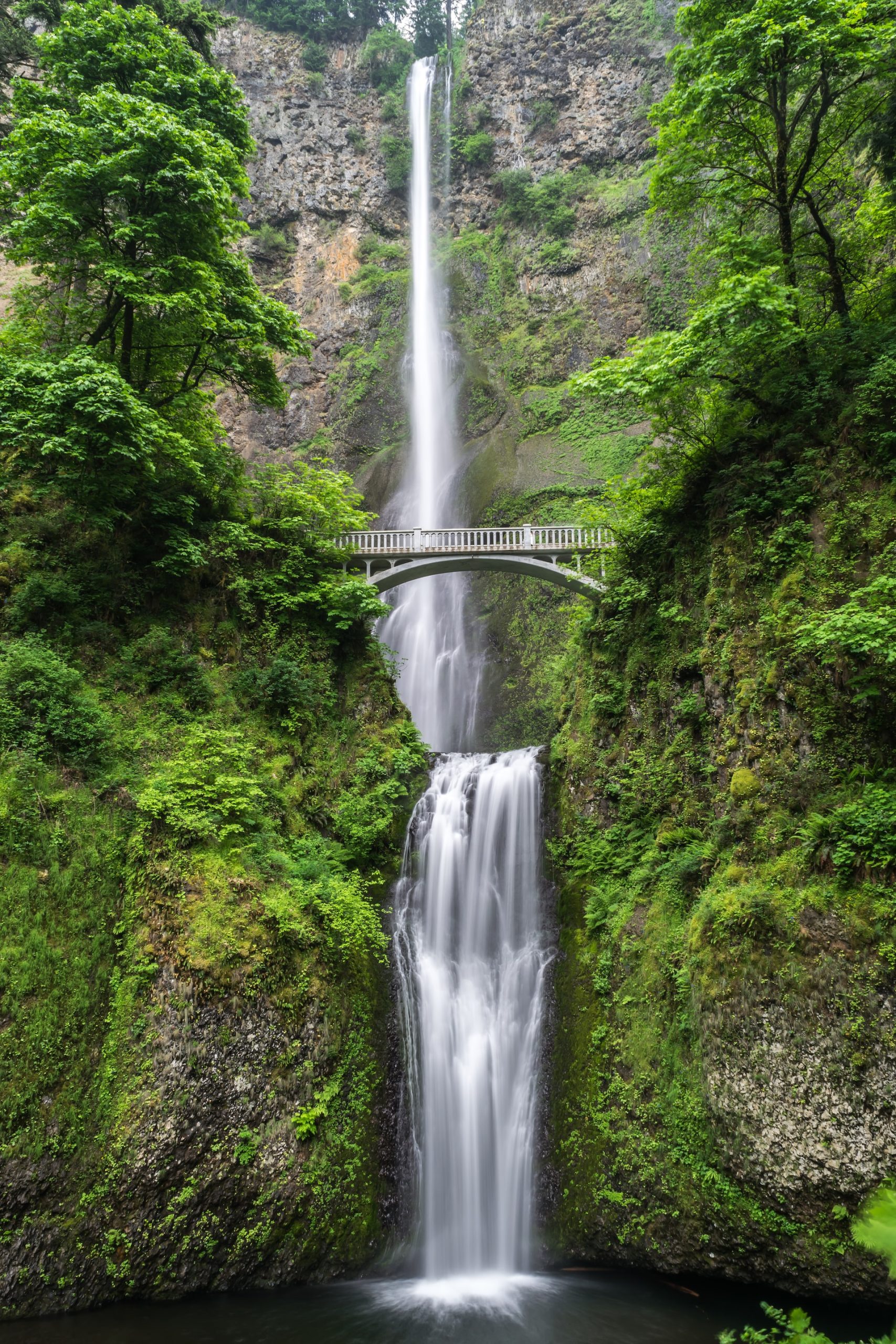 blake-verdoorn-cssvEZacHvQ-unsplash